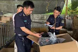 Hải quan quyết liệt chống buôn lậu, hàng giả và ma túy