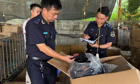 Hải quan quyết liệt chống buôn lậu, hàng giả và ma túy