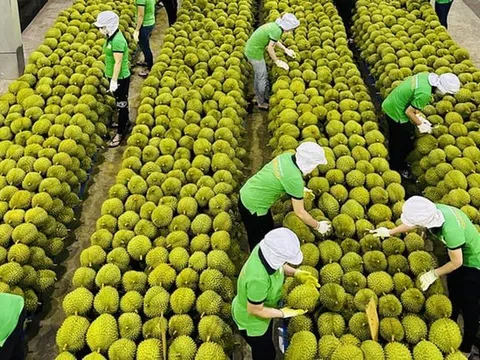 Thủ tướng yêu cầu truy xuất nguồn gốc chất lượng nông lâm, thủy sản xuất khẩu
