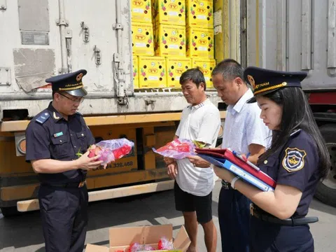 Chống buôn lậu và hiện đại hóa hải quan: Bộ Tài chính đề xuất bổ sung 9 biện pháp nghiệp vụ vào Luật Hải quan
