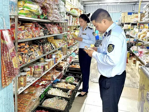 Ninh Bình: Thu giữ hơn 700 sản phẩm thực phẩm nhập lậu