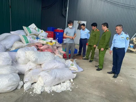 Ninh Bình: Triệt phá cơ sở kinh doanh hàng tấn thịt động vật không rõ xuất xứ