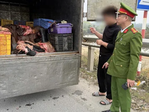 Phú Thọ: Kịp thời ngăn chặn 1,2 tấn sản phẩm động vật có dấu hiệu không bảo đảm vệ sinh thú y