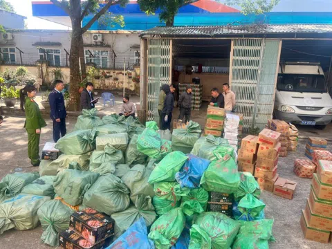 Quảng Ninh: Thành công triệt phá kho hàng lậu, thu giữ gần 4 tấn thực phẩm không chứng từ