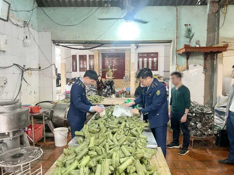 Sử dụng hàn the sản xuất giò chả, một chủ cơ sở bị khởi tố