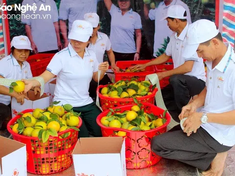 Còn quá ít nông sản được xây dựng mã vùng trồng