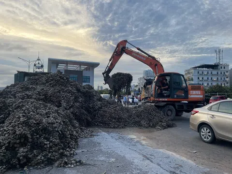 Ngăn chặn 63 tấn Hàu giống không rõ xuất xứ trị giá 1,5 tỷ đồng