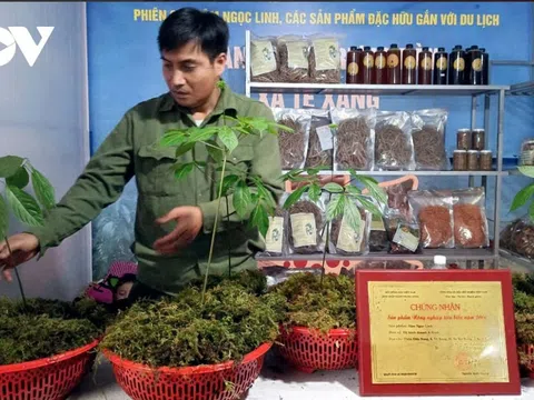 Mất cả thương hiệu vì coi nhẹ truy xuất nguồn gốc