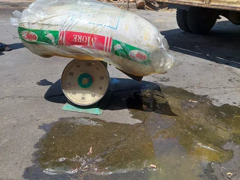 Bình Định: Phát hiện, tạm giữ gần 650 kg mỡ động vật đã qua chế biến