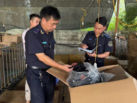Hải quan quyết liệt chống buôn lậu, hàng giả và ma túy