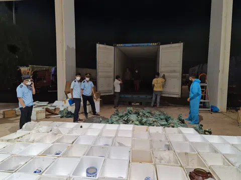 Khởi tố vụ buôn lậu hàng quá cảnh tại cửa khẩu quốc tế Lao Bảo