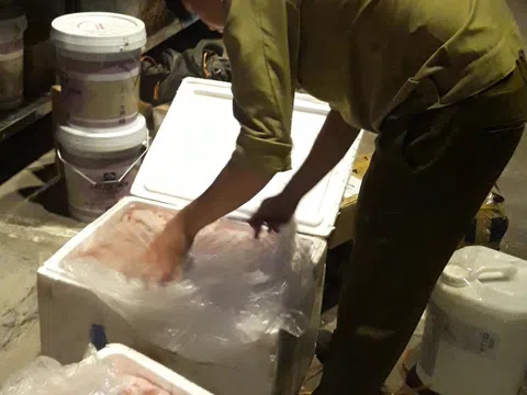 Hà Nội yêu cầu Quản lý thị trường ngăn chặn vận chuyển trái phép động vật, sản phẩm động vật từ nước ngoài vào Việt Nam